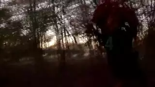 عودت مع بعض الأفلام الجديدة