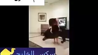 قحاب خليجية ترقص عارية وهي سكرانة مولع