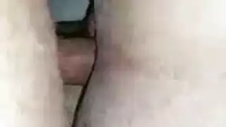 صوره طياظ متحركة