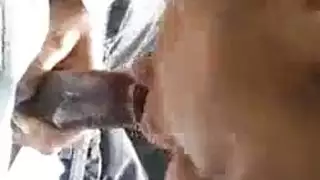 صوسكس متحرك كاريناكابور