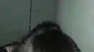 أن الكلبة هي مسمار المجاور