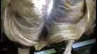 سكس جزايري ولاية ميلة