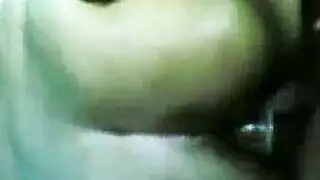 صور جمل وشنبورة