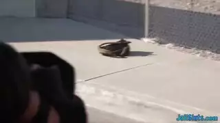 اثنين من الكلبات مثير في العمل الثلاثي