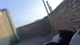 سكس عراقي جامد