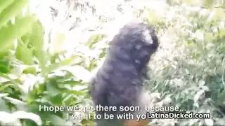 الشقراسكس