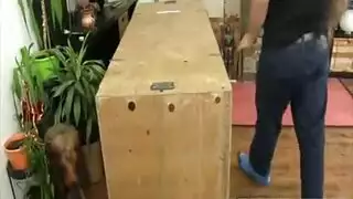 سكس ثلاثي مراهقتين مع شاب