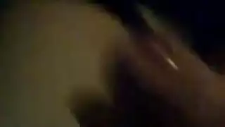 فقط الفقرة تي