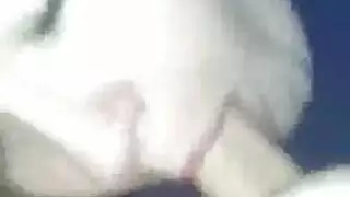 مفلس شقراء مونتانا يحب لعق الديك