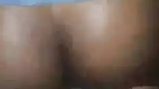 طرفة عين الملاعين في حزب البرية