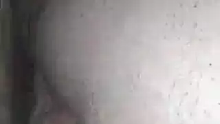 انسكب سخيف شولي